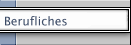 Berufliches
