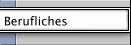 Berufliches